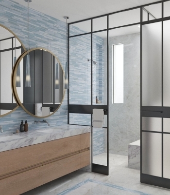 PS Robin Master bath cam2