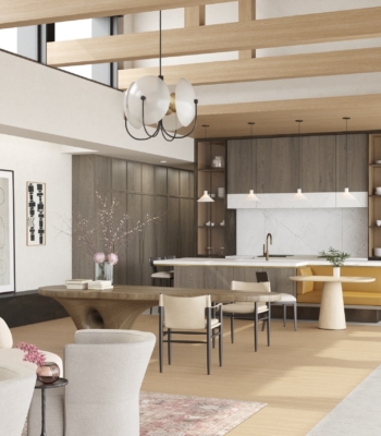 1 Kitchen opt 1B cam 2 0601