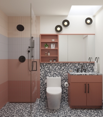 Roanoke bathroom cam 1 opt 3 0322