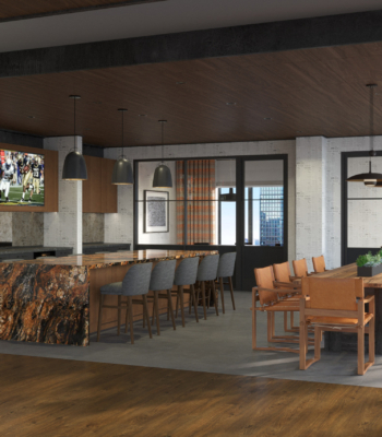 Telegraph L8 cam 1 copy 2